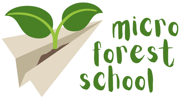 Micro Forest School